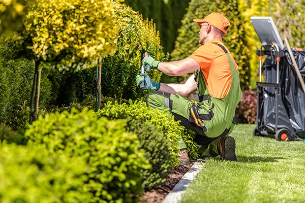 Landscape Maintenance Landscape Maintenance
