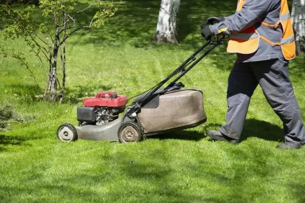 Lawn Care Lawn Care