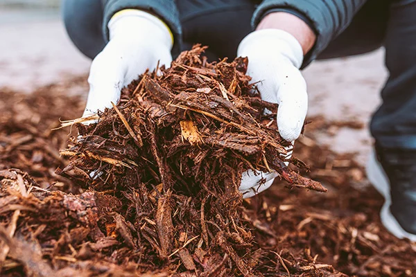 Mulching Mulching