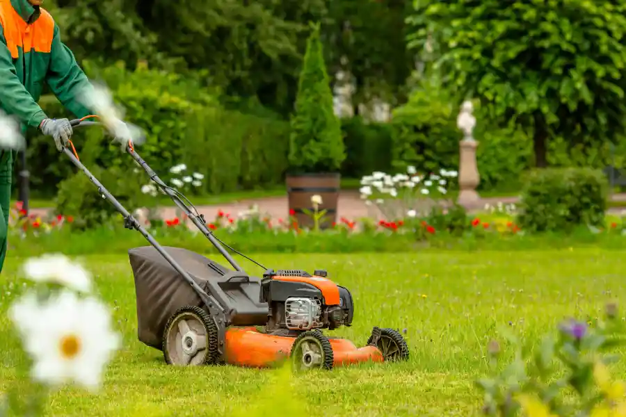Professional Landscaping Services in Cornelius, OR Your Reliable Landscaper in Cornelius, OR