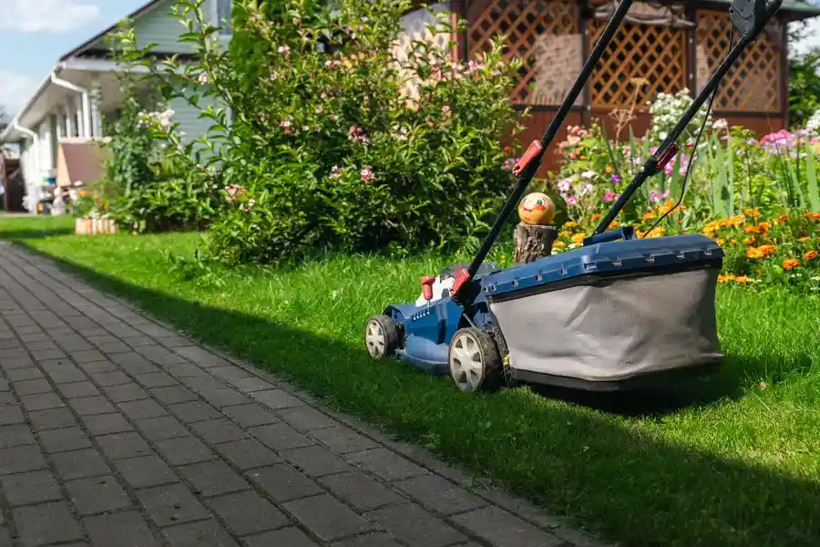 Affordable Landscape Maintenance Cornelius, OR Affordable Landscape Maintenance Cornelius, OR