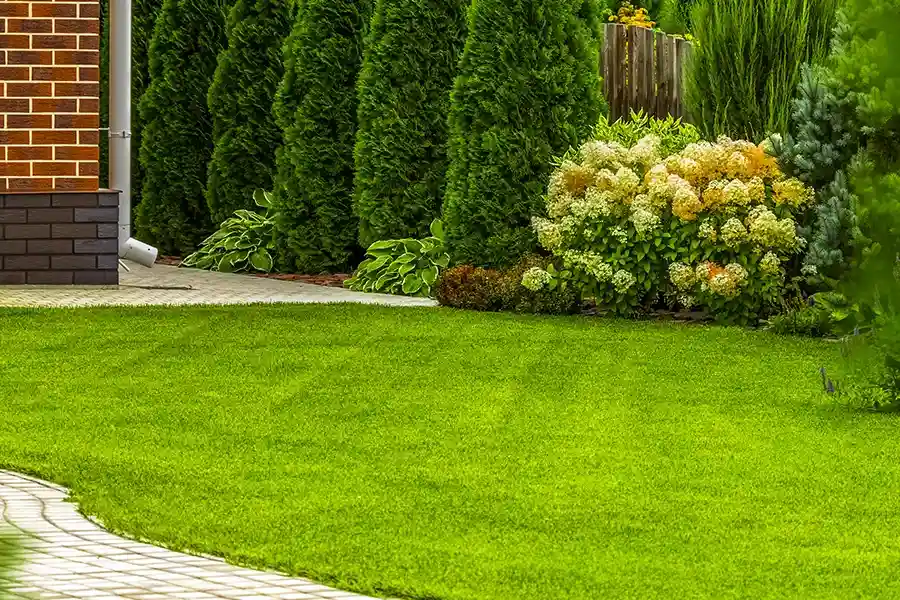 Excellent Lawn Care Cornelius, OR Excellent Lawn Care Cornelius, OR