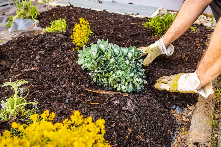 Experienced Mulching Cornelius, OR Experienced Mulching Cornelius, OR
