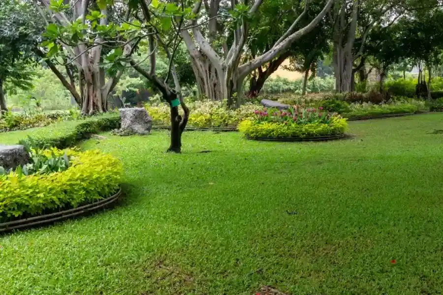 Expert Landscape Maintenance Cornelius, OR Expert Landscape Maintenance Cornelius, OR