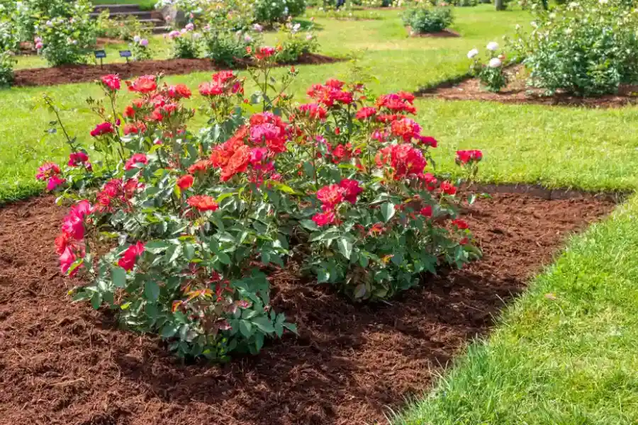 How Mulch Helps In Preventing Erosion In Landscaped Areas in Cornelius, OR How Mulch Helps In Preventing Erosion In Landscaped Areas in Cornelius, OR