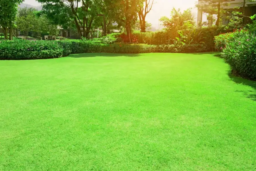 How To Extend The Life Of Your Landscape With Routine Care Cornelius, OR How To Extend The Life Of Your Landscape With Routine Care Cornelius, OR