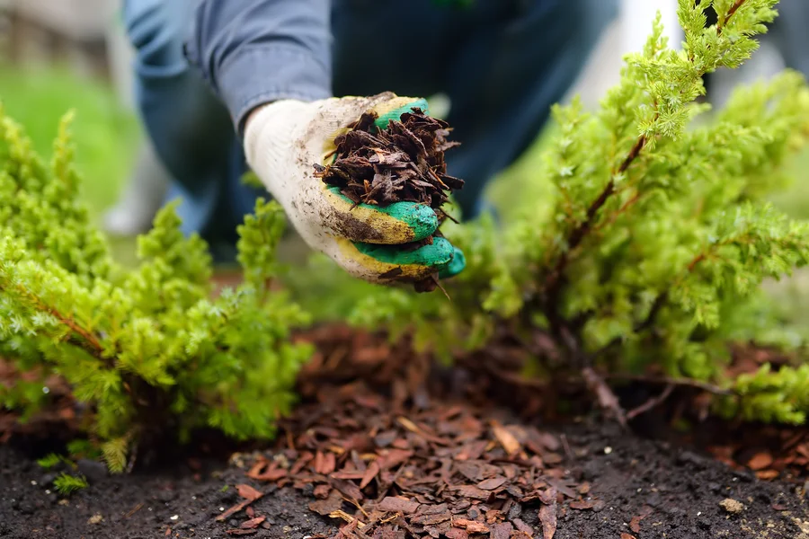How To Prevent Mulch From Decomposing Too Quickly in Cornelius, OR How To Prevent Mulch From Decomposing Too Quickly in Cornelius, OR