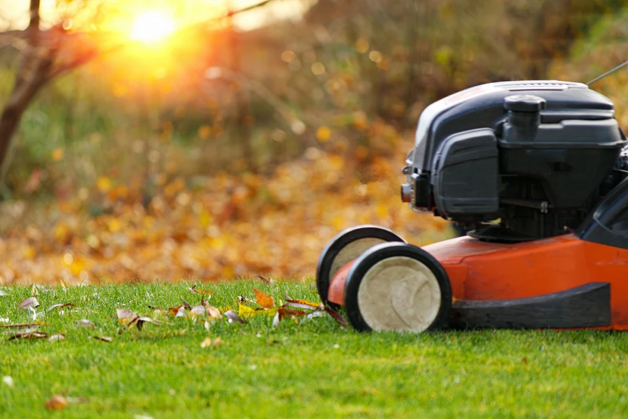 Lawn Care Mistakes Every Landscaper Should Avoid in Cornelius, OR Lawn Care Mistakes Every Landscaper Should Avoid in Cornelius, OR