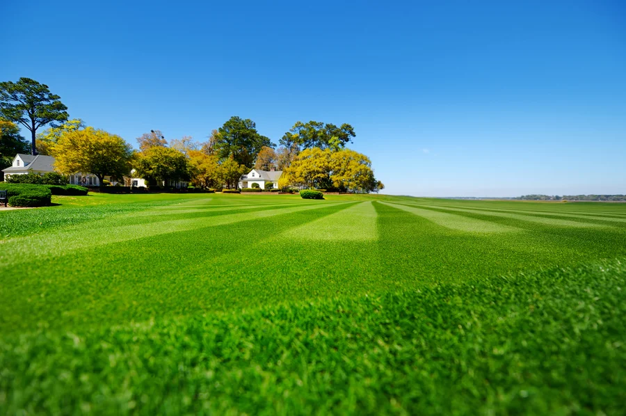 Lawn Care Mistakes To Avoid For A Healthier Lawn in Cornelius, OR Lawn Care Mistakes To Avoid For A Healthier Lawn in Cornelius, OR