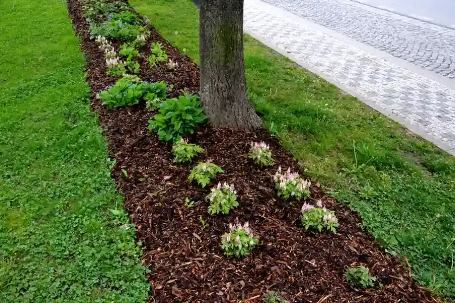 Professional Mulching Cornelius, OR Professional Mulching Cornelius, OR