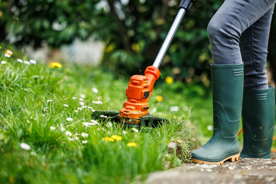 Reputable Lawn Care Cornelius, OR Reputable Lawn Care Cornelius, OR