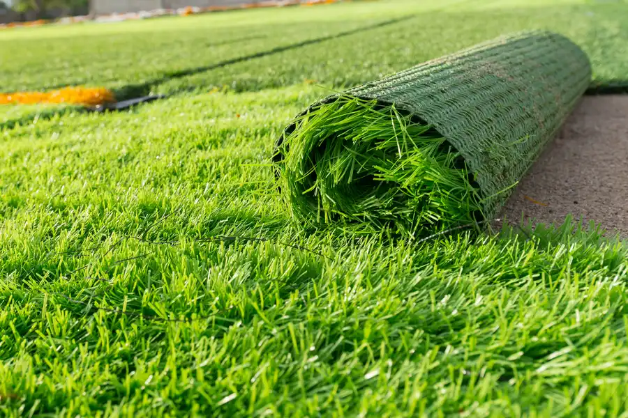 Why Synthetic Grass Is Perfect For High Traffic Areas in Cornelius, OR Why Synthetic Grass Is Perfect For High Traffic Areas in Cornelius, OR